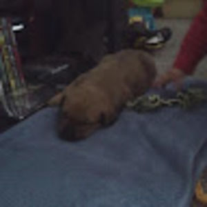 Meet your Posher, Aja